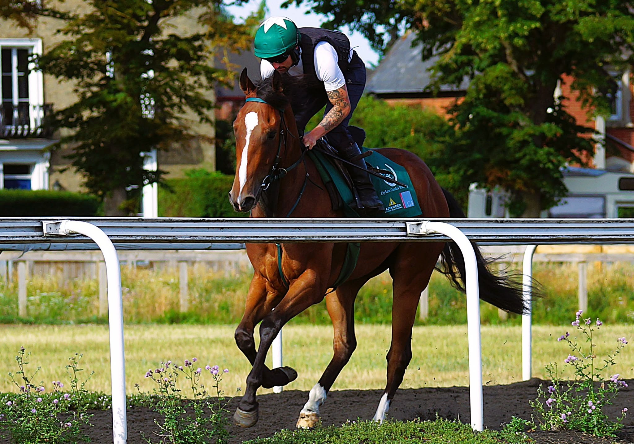 Horse and jockey working on the gallops at Newmarket